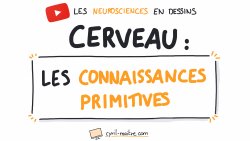 Vignette de LES CONNAISSANCES PRIMITIVES SUR LE CERVEAU - Les neurosciences en dessins
